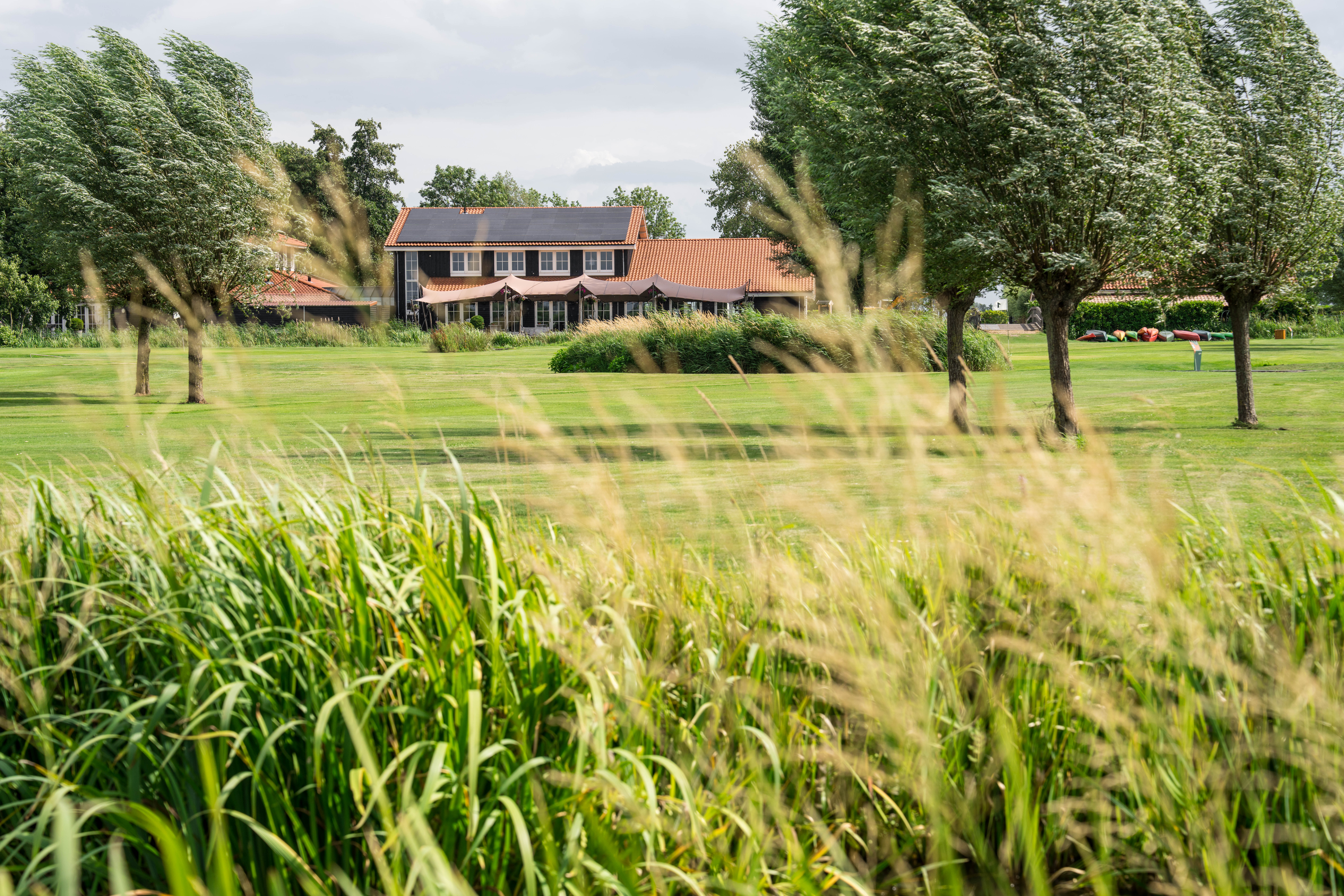 Kameryck in het groen