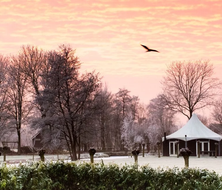 Winters tafreel van het paviljoen met een laagje rijp op het gras en aan de takken.