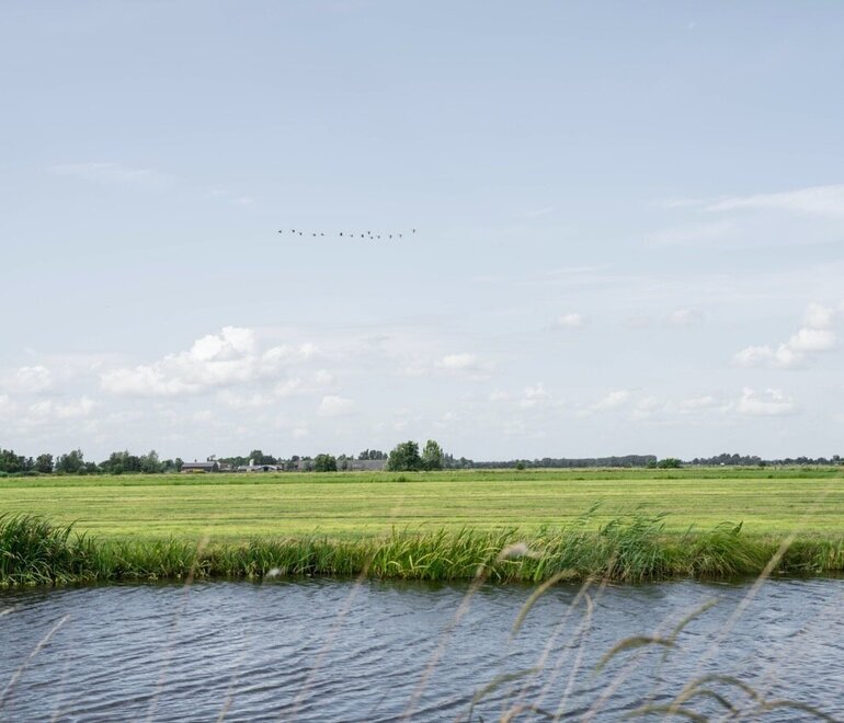 15-07-2025-blote-voeten-pad-114-groot.jpeg
