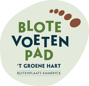 logo-blotevoetenpad-cmyk-kamercyk-def-lichtgroene-steen-klein.png